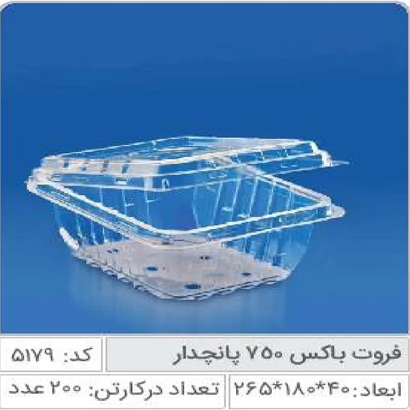 فروت باکس 750 پانچدار صنایع پلاستیک خوزستان 5179