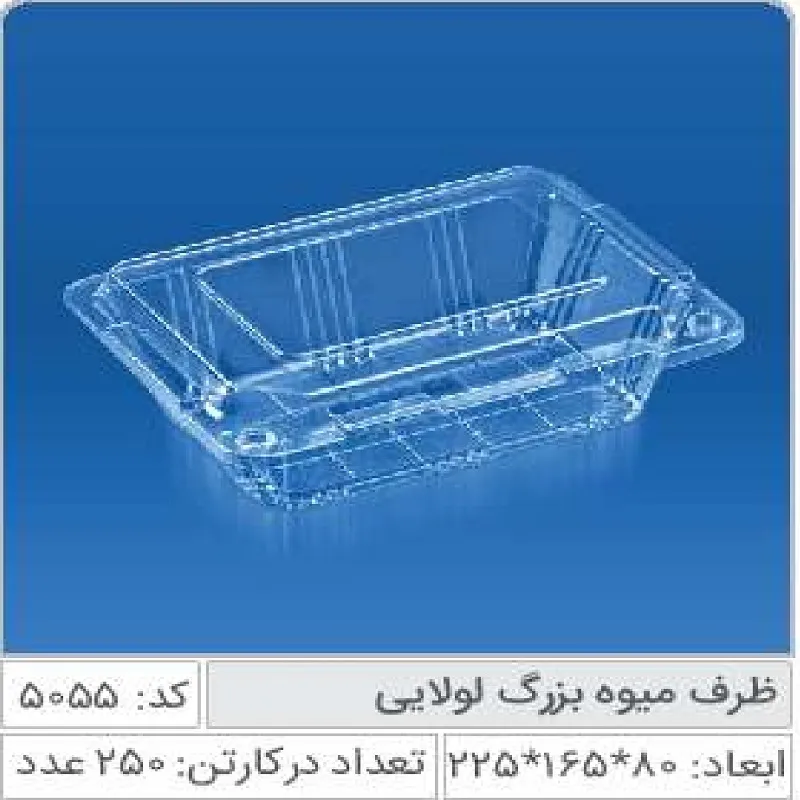 ظرف میوه بزرگ لولایی صنایع پلاستیک خوزستان 5055