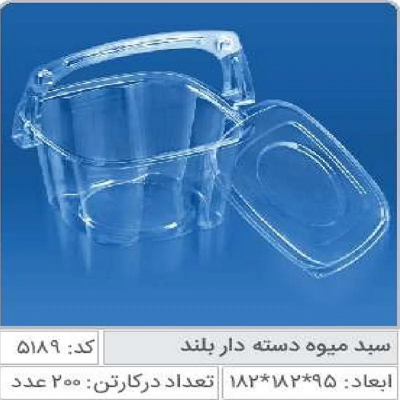 سبد میوه دسته دار بزرگ صنایع پلاستیک خوزستان 5189