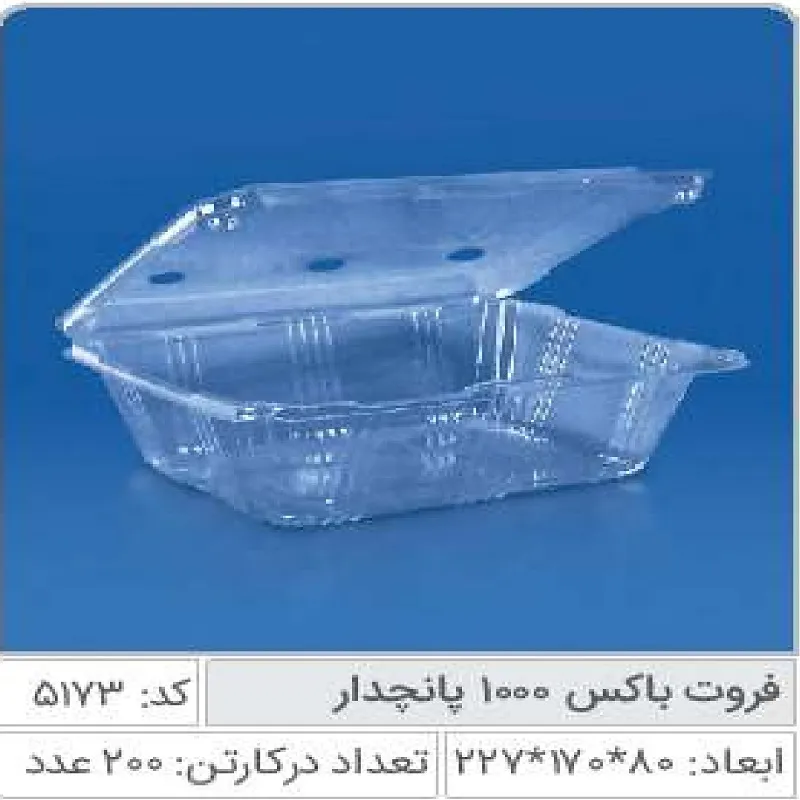 فروت باکس 1000 پانچدار صنایع پلاستیک خوزستان 5173